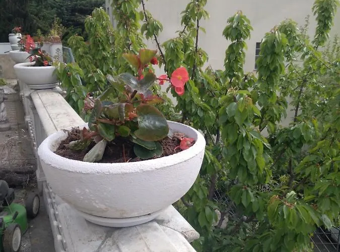 Holiday home Casa Dei Fiordalisi